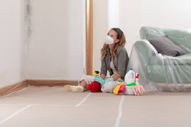 Reliable Black Mold Removal contractor in Medina, WA by WQB Mold Removal